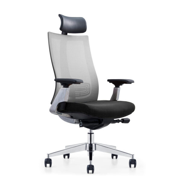 Carlen Ergonomic Task